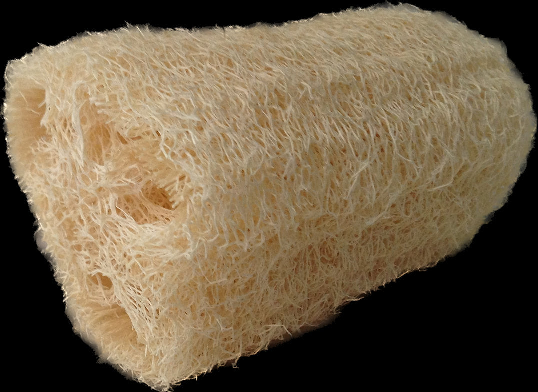 Luffa - Loofah Sponge - 100% biodegradable, clean, natural, sustainable  exfoliator & scrubber