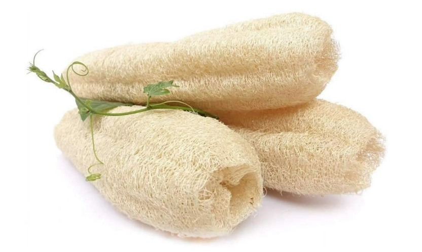 Luffa - Loofah Sponge - 100% biodegradable, clean, natural, sustainable  exfoliator & scrubber