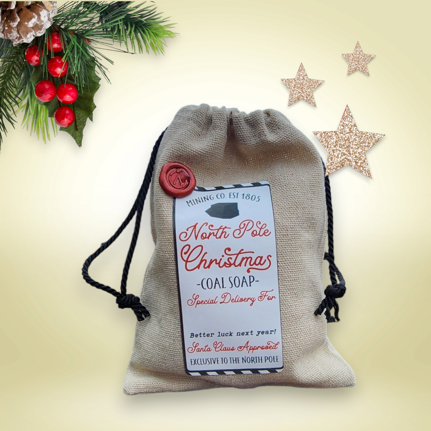 Bag of Coal Santa's Naughty List -  Face & Body Soap  - Coal Stocking, Christmas Coal, Winter Gift, Coal Soap, Lump of CoalBag of Coal
