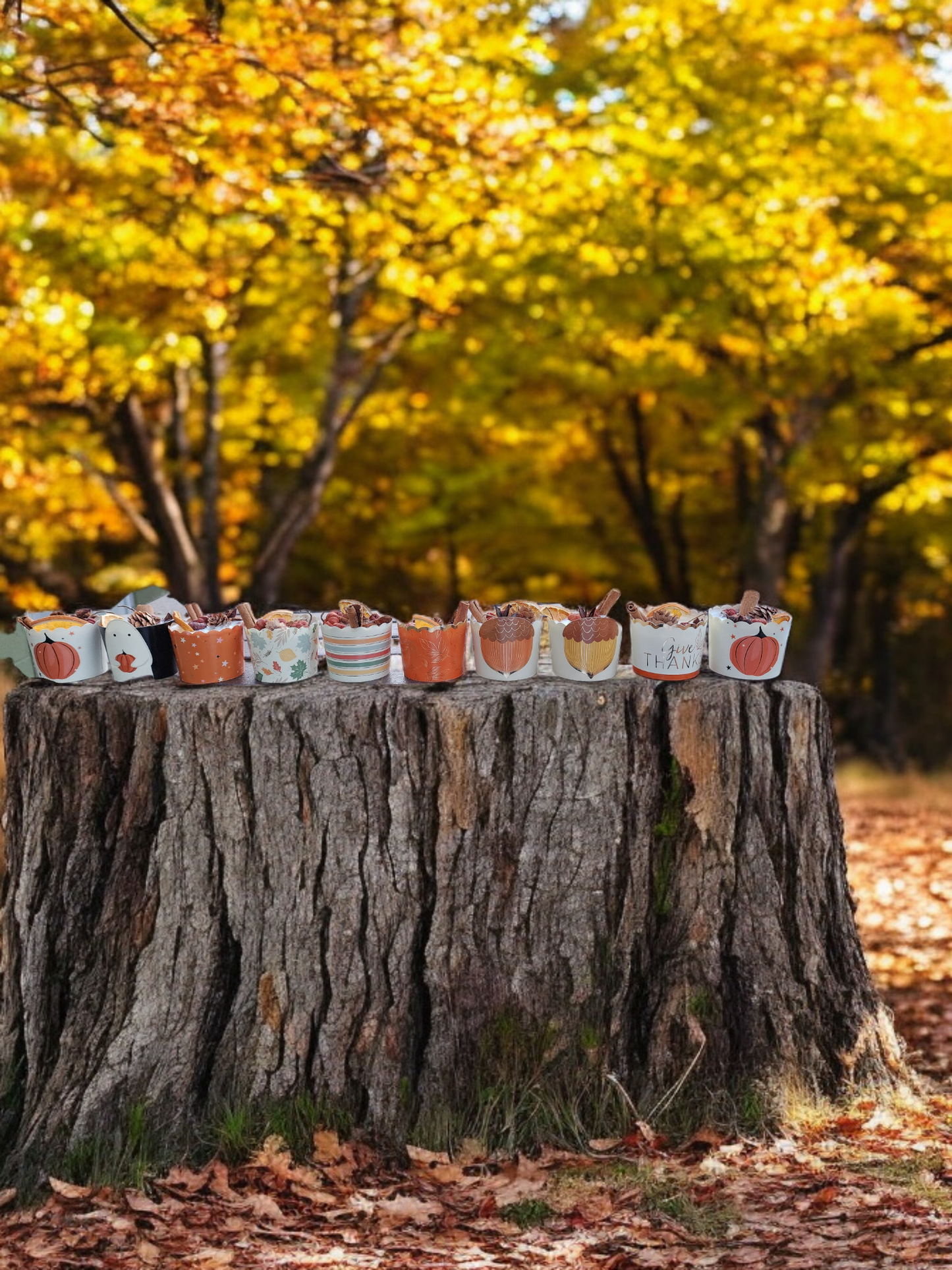 SET OF 6 LARGE  FALL FIRESTARTERS, Camping, Bonfire, campfire, glamping, woodstove, fireplace Fire Starters