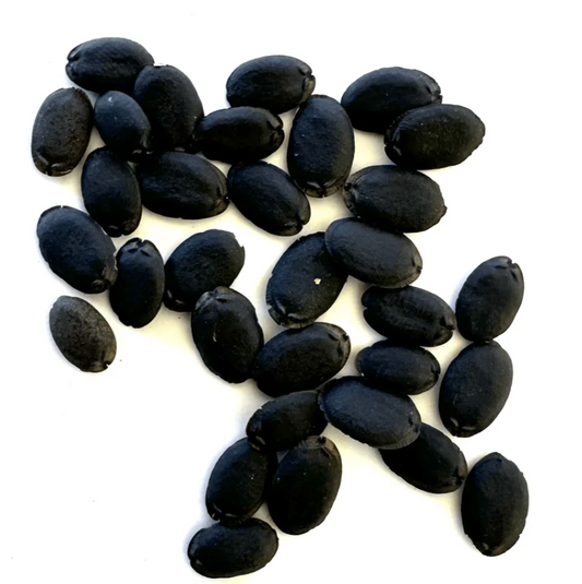 Luffa Seeds